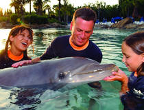 Discovery Cove &copy; VISIT FLORIDA